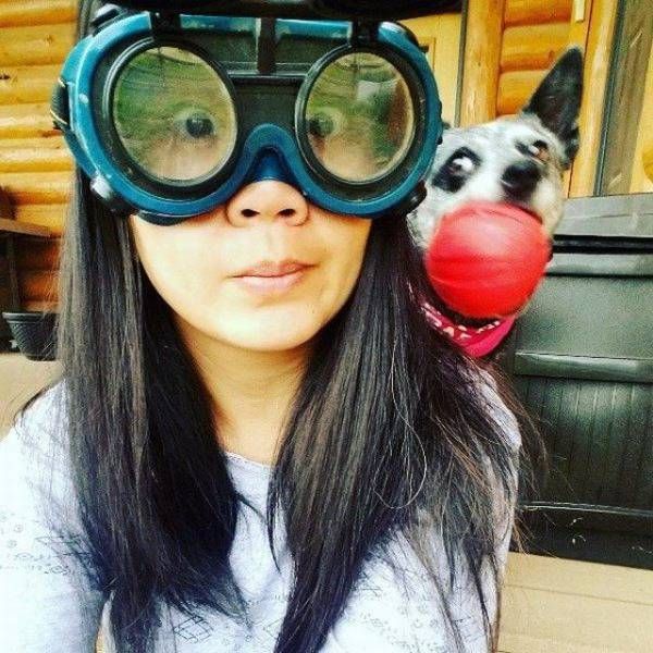 Прикольные картинки