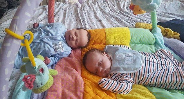 Помешанная британка заселила дом жуткими пупсами, среди которых прячется настоящий ребенок