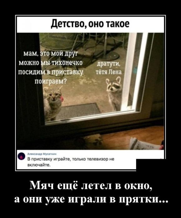 Демотиваторы