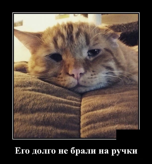 Демотиваторы