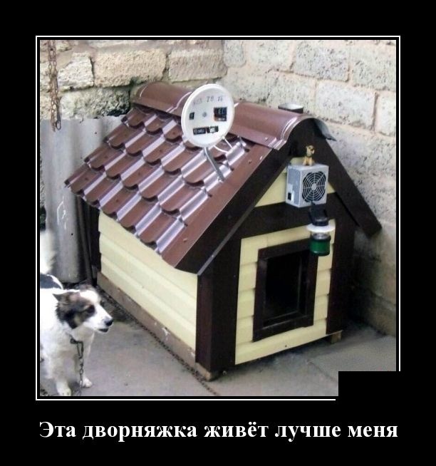 Демотиваторы