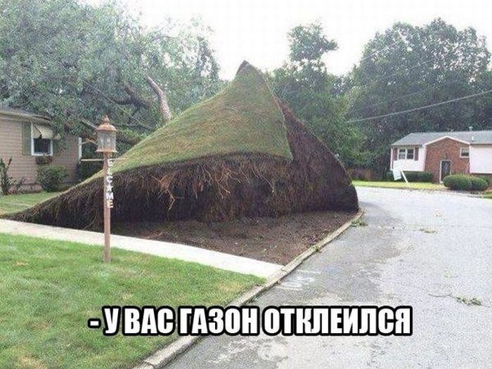 Порция картинок