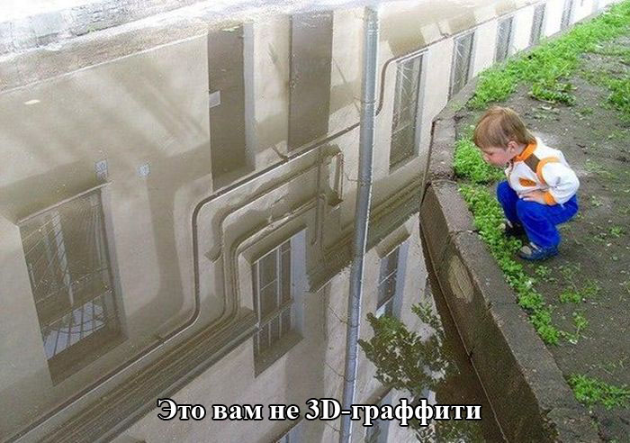 Порция картинок