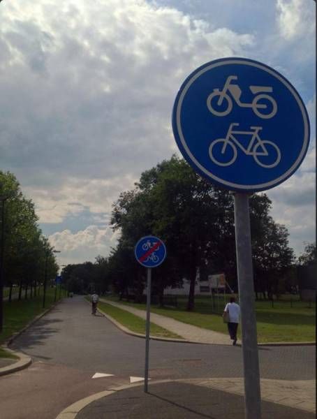 Порция картинок
