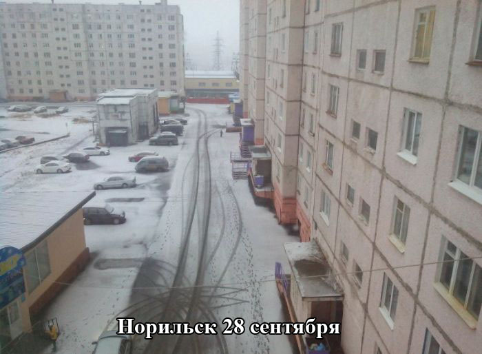 Порция картинок