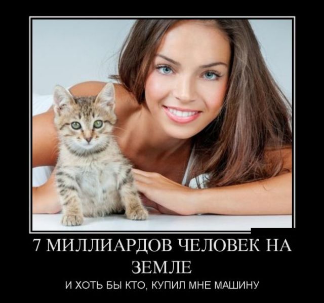 Демотиваторы