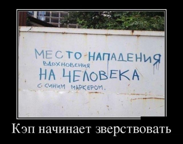 Демотиваторы