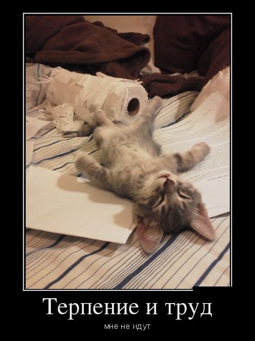 Демотиваторы