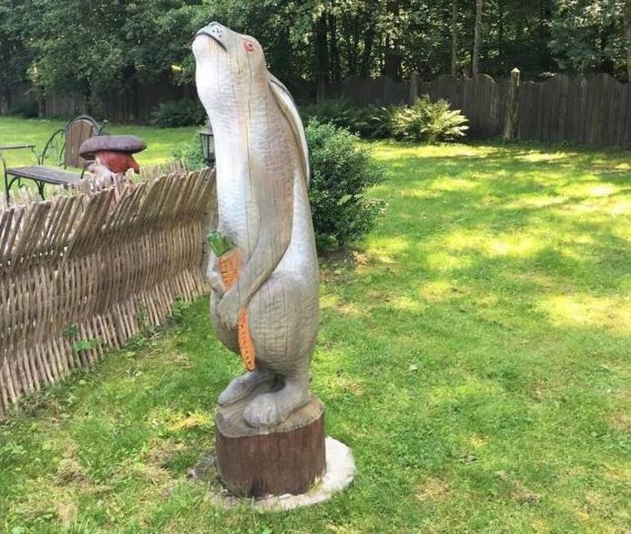 Странные фото