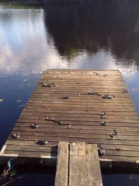 Странные фото