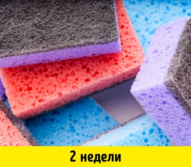 20 вещей, у которых есть срок годности, хотя вы об этом не подозревали
