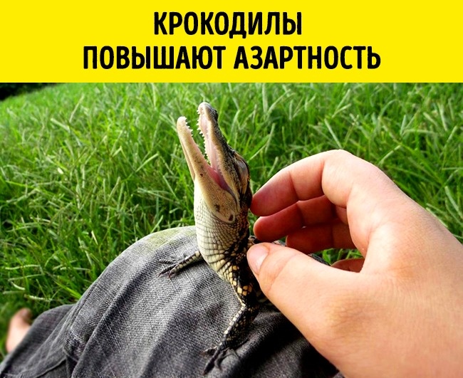 11 реальных открытий ученых, которые больше похожи на шутку