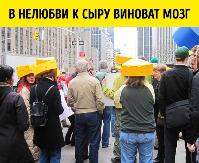 11 реальных открытий ученых, которые больше похожи на шутку
