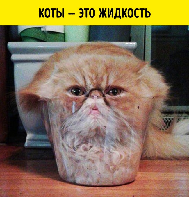 11 реальных открытий ученых, которые больше похожи на шутку