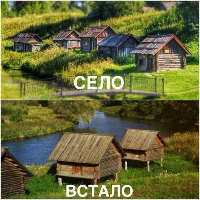 Прикольные картинки