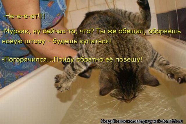 Лучшие котоматрицы недели