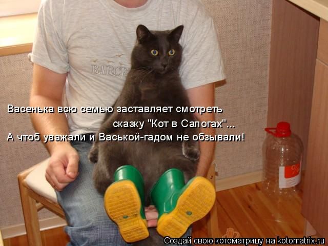 Лучшие котоматрицы недели