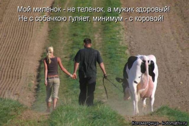 Лучшие котоматрицы недели