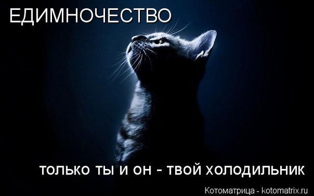 Лучшие котоматрицы недели