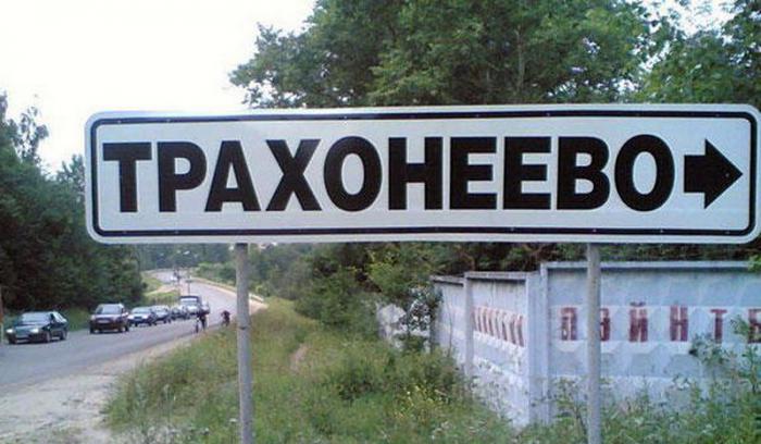 Прикольные картинки (45 фото)