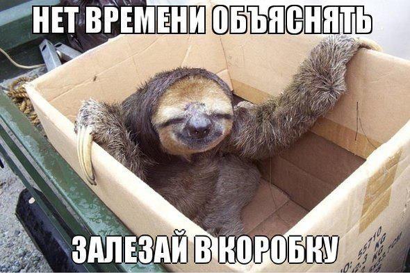Прикольные картинки (45 фото)