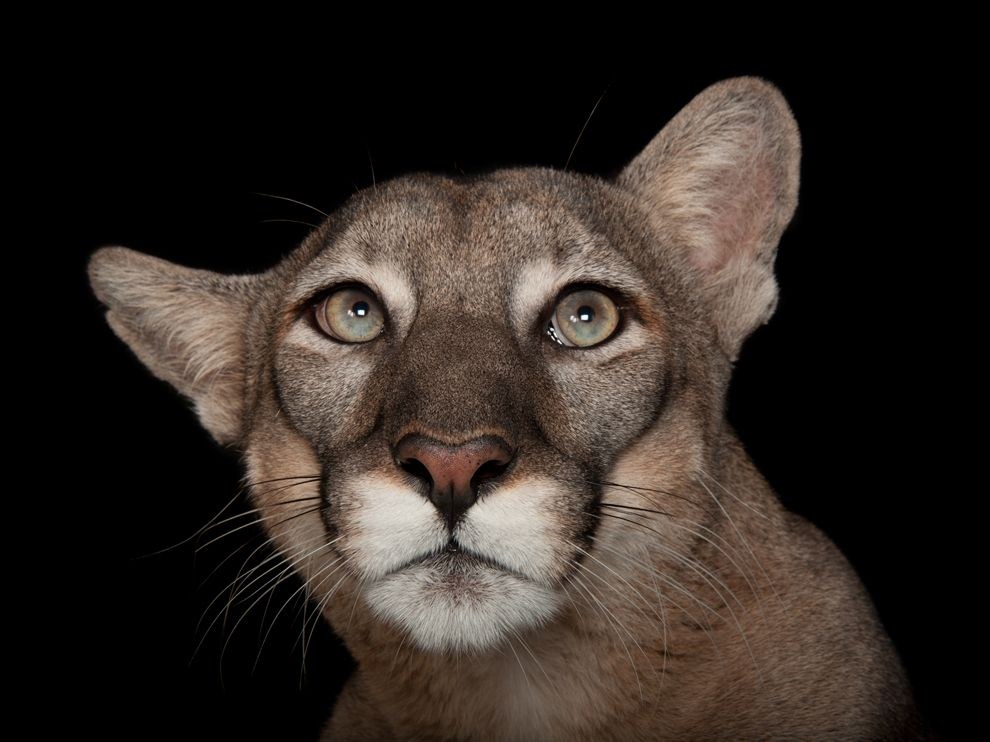 National Geographic: лучшие фотографии октября National Geographic: лучшие фотографии октября
