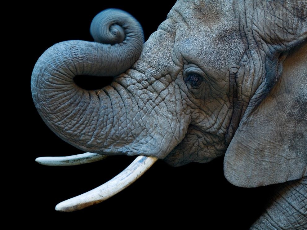 National Geographic: лучшие фотографии октября National Geographic: лучшие фотографии октября