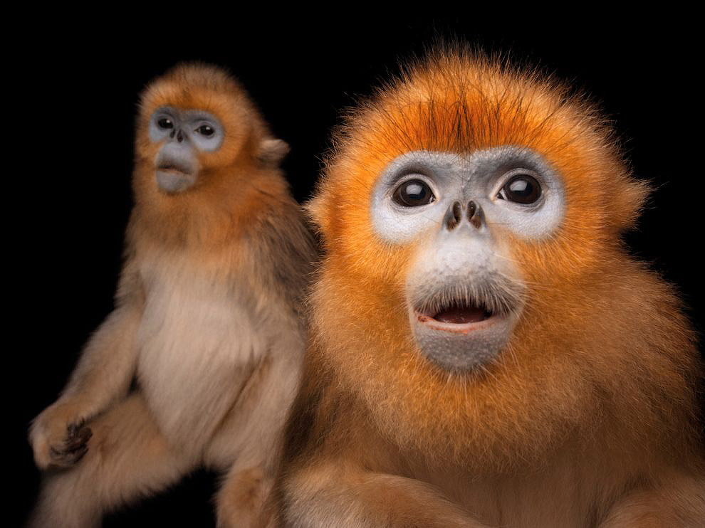 National Geographic: лучшие фотографии октября National Geographic: лучшие фотографии октября