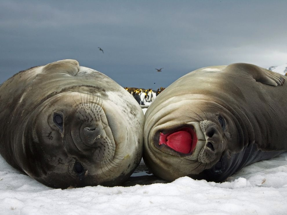 National Geographic: лучшие фотографии октября National Geographic: лучшие фотографии октября