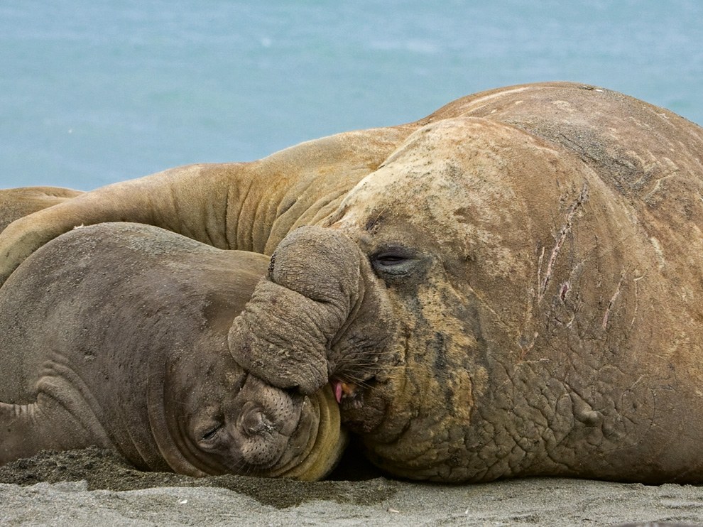 National Geographic: лучшие фотографии октября National Geographic: лучшие фотографии октября
