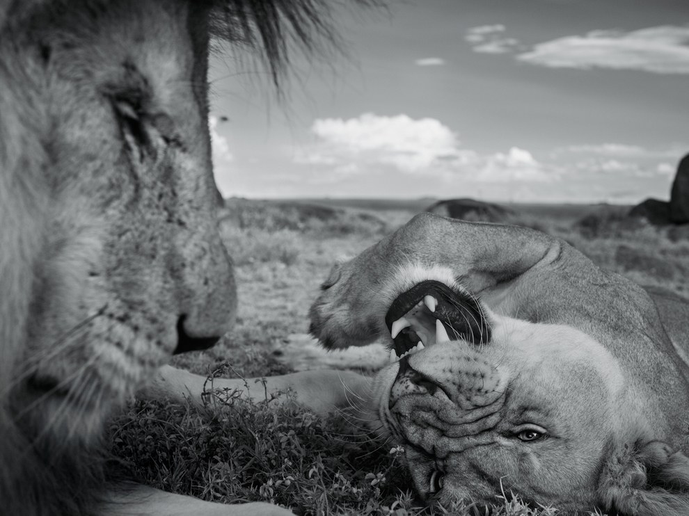 National Geographic: лучшие фотографии октября National Geographic: лучшие фотографии октября