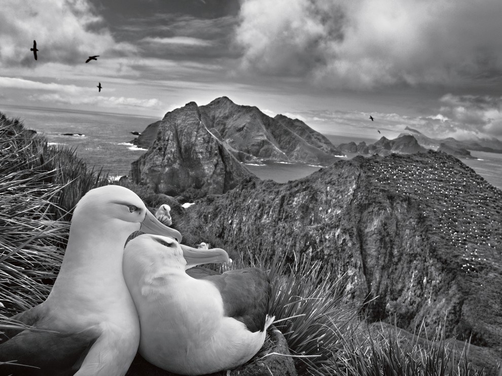 National Geographic: лучшие фотографии октября National Geographic: лучшие фотографии октября