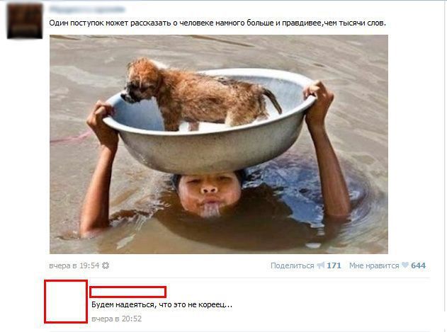Забавные комментарии из социальных сетей