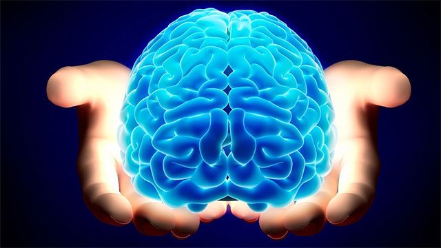 Интересные факты о левшах