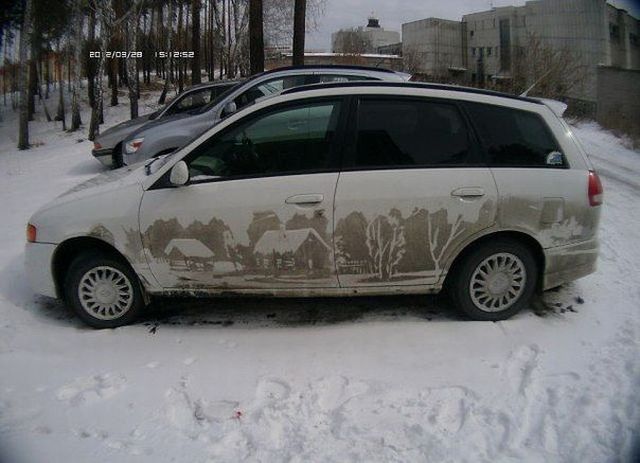 Прикольные картинки