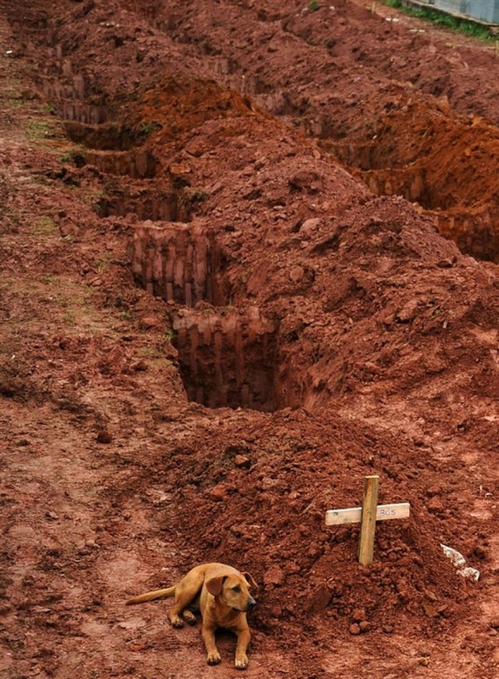 Сильные фотографии