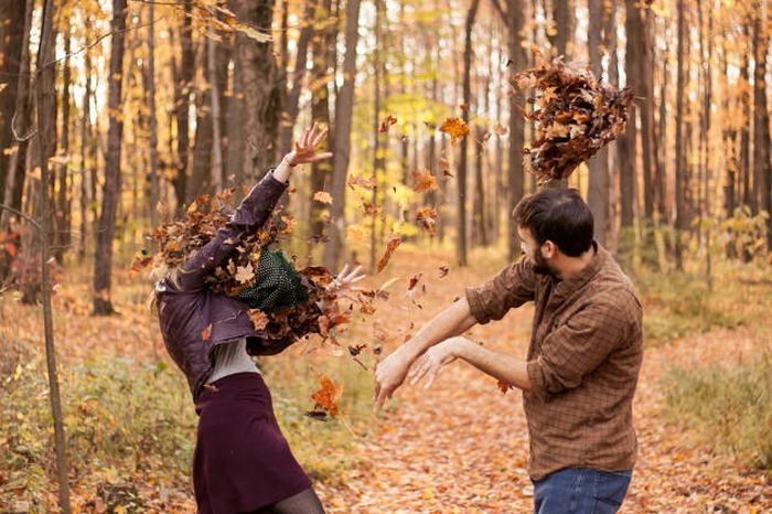 Порция картинок