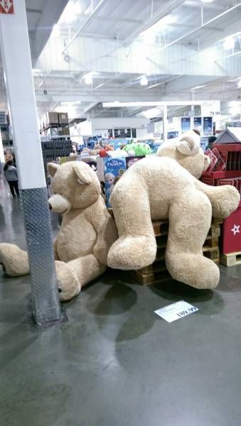 Порция картинок