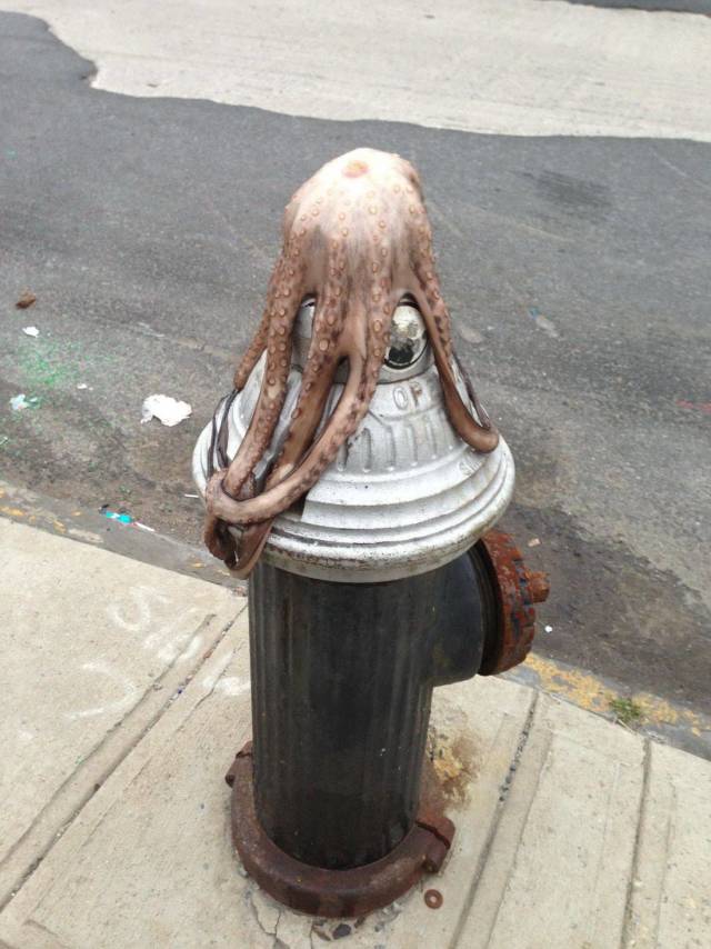 Странные и необъяснимые фотографии