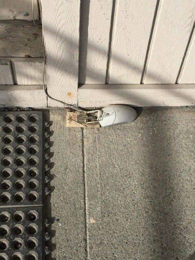 Странные и необъяснимые фотографии