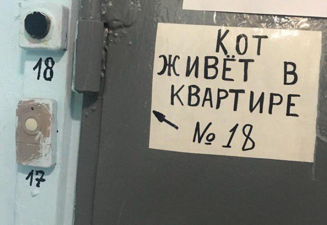 Прикольные картинки
