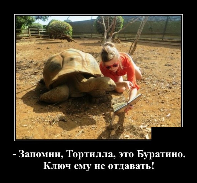 Демотиваторы