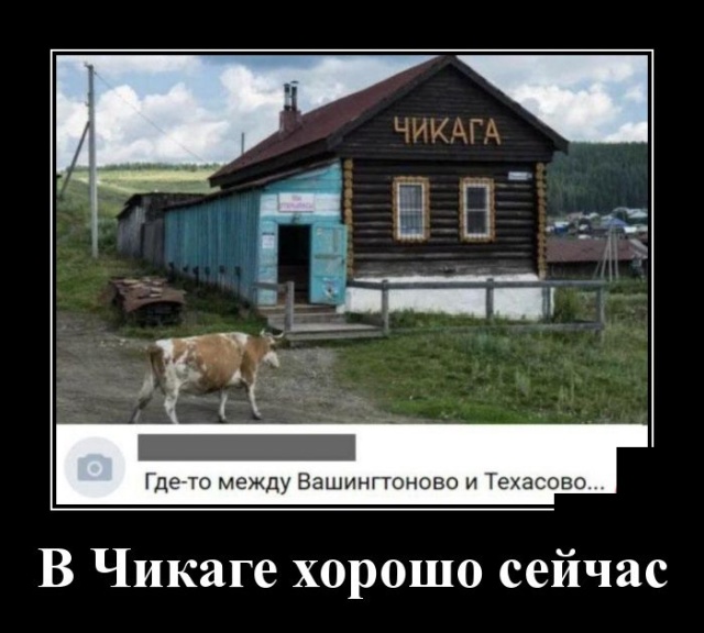 Демотиваторы