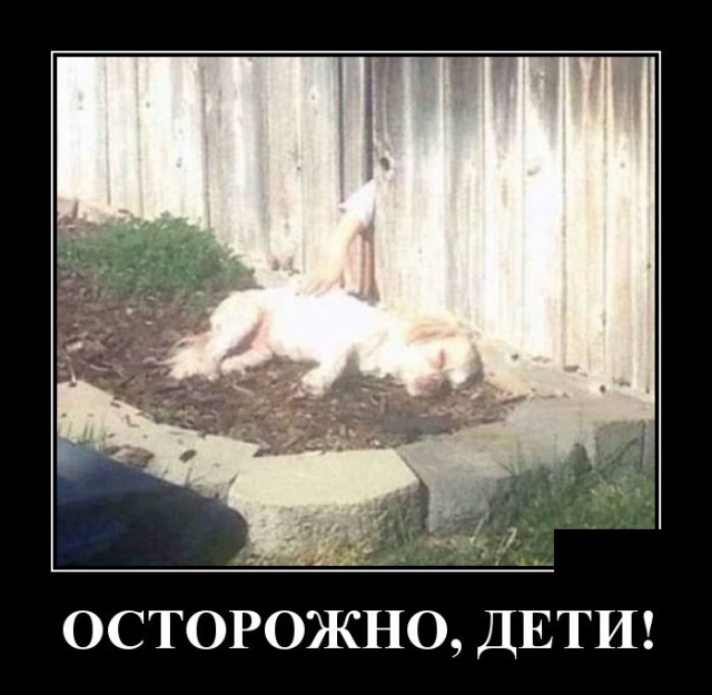 Демотиваторы