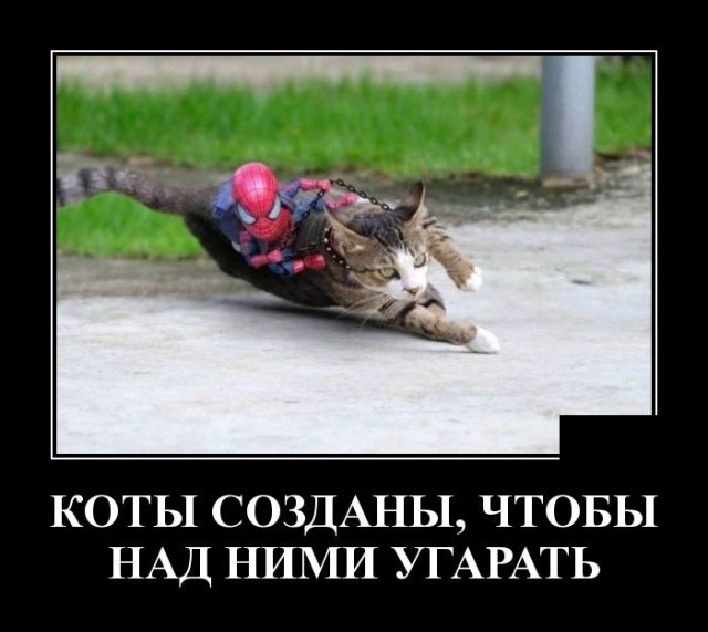 Демотиваторы