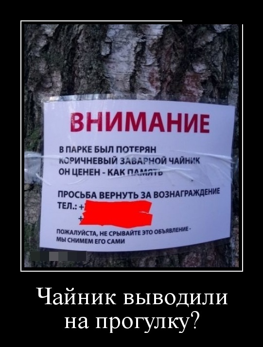 Демотиваторы