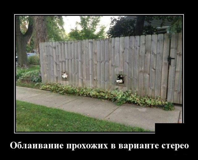 Демотиваторы