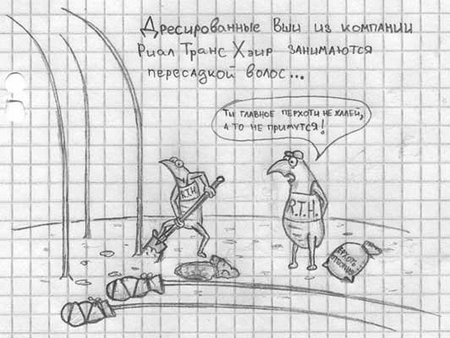Нестандартный юмор с просторов сети