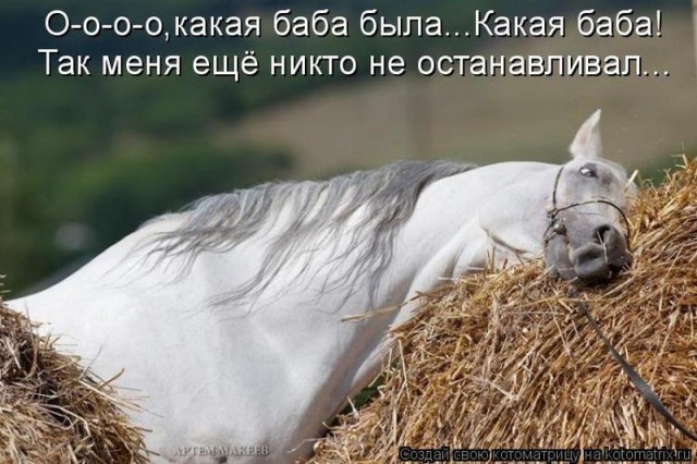 Нестандартный юмор с просторов сети