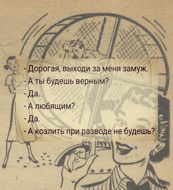 Нестандартный юмор с просторов сети